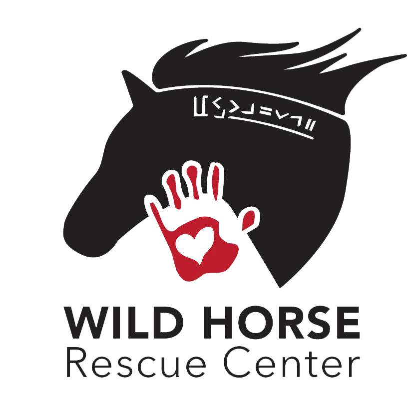 wild heart rescue ranch marana