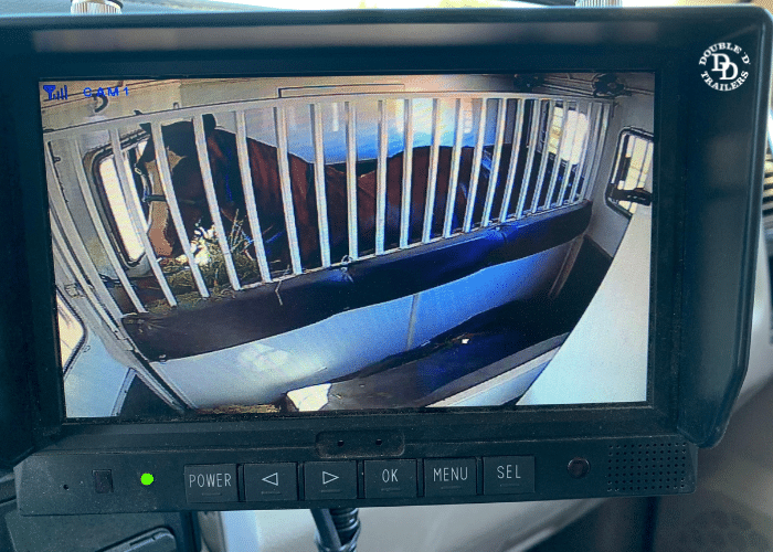 Still image from a horse trailer camera inside a Double D Trailer showing a horse standing comfortably in a slant load in the rear facing position.