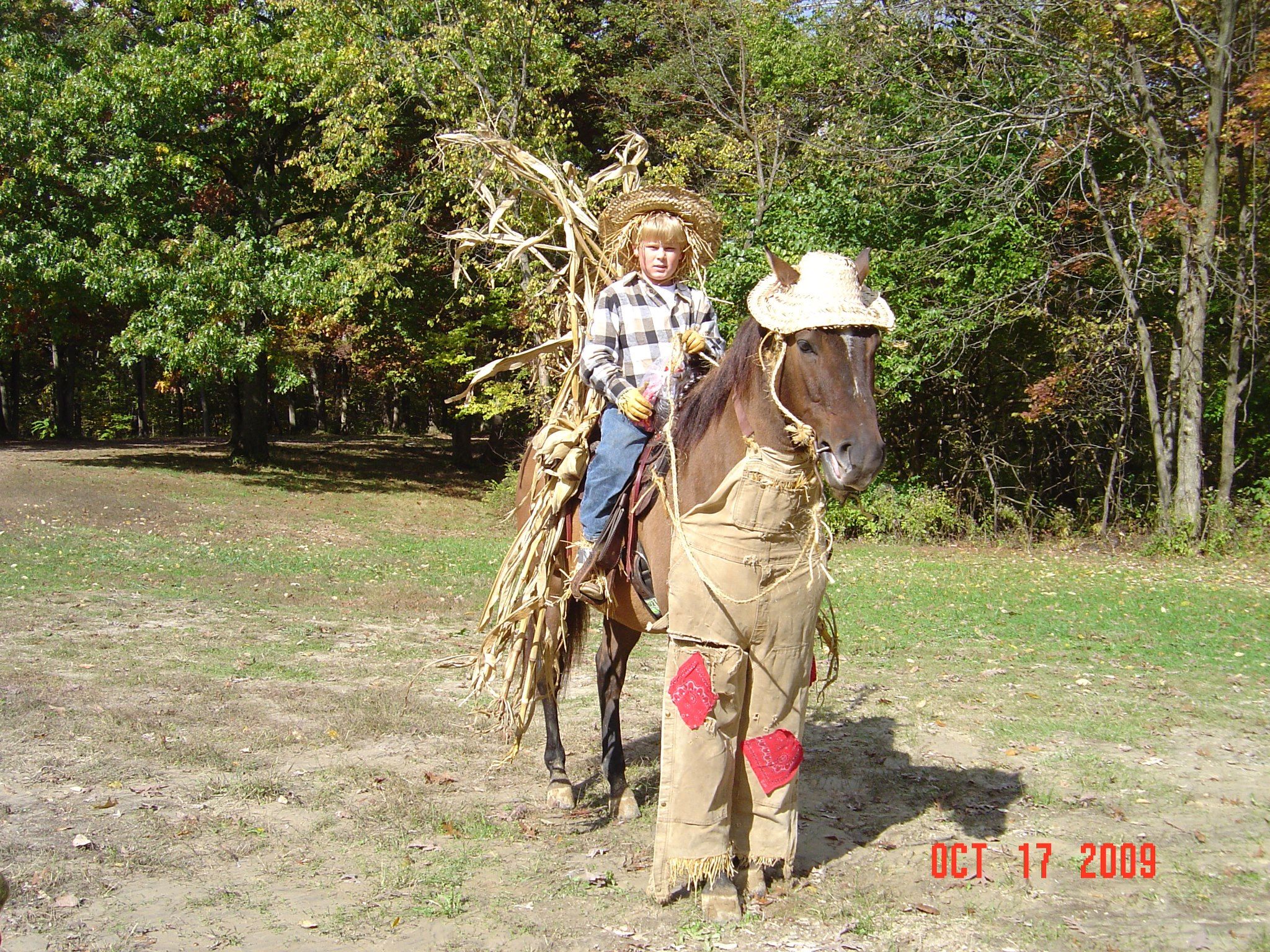 Horse dressed as a scarecrow with straw and fabric, rider in matching scarecrow costume