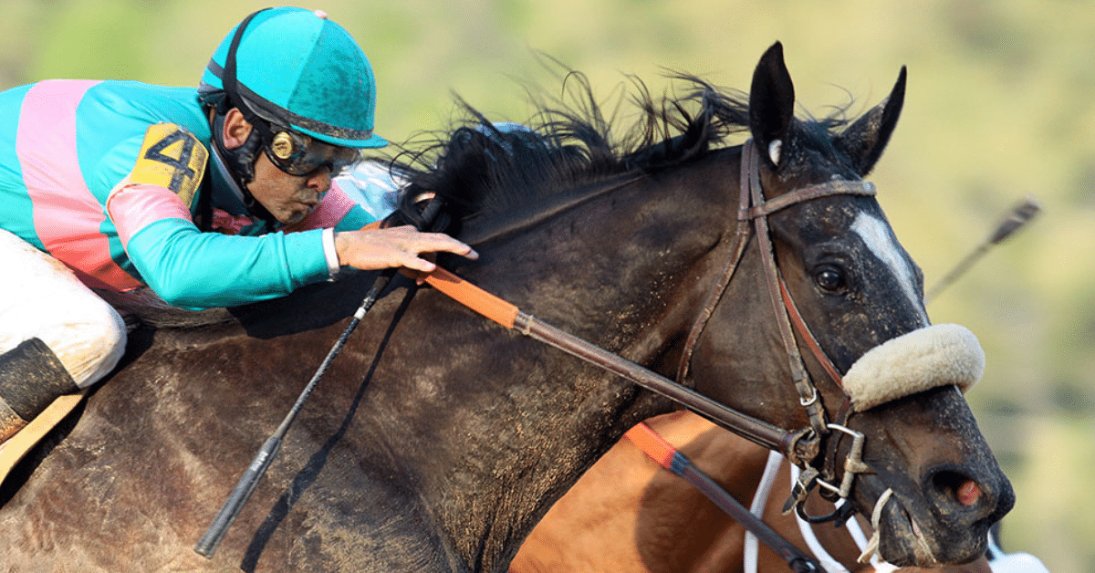 The Top 7 Greatest Racehorses In History