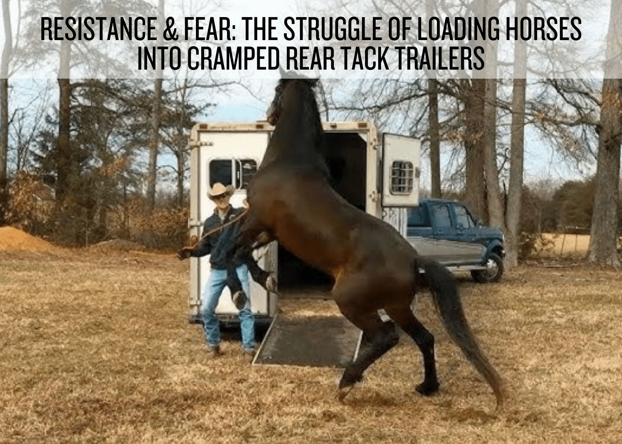 Image from Scott Purdum of a horse rearing up in resistance while a handler attempts to load it into a rear tack horse trailer, illustrating the stress and fear caused by confined spaces. 