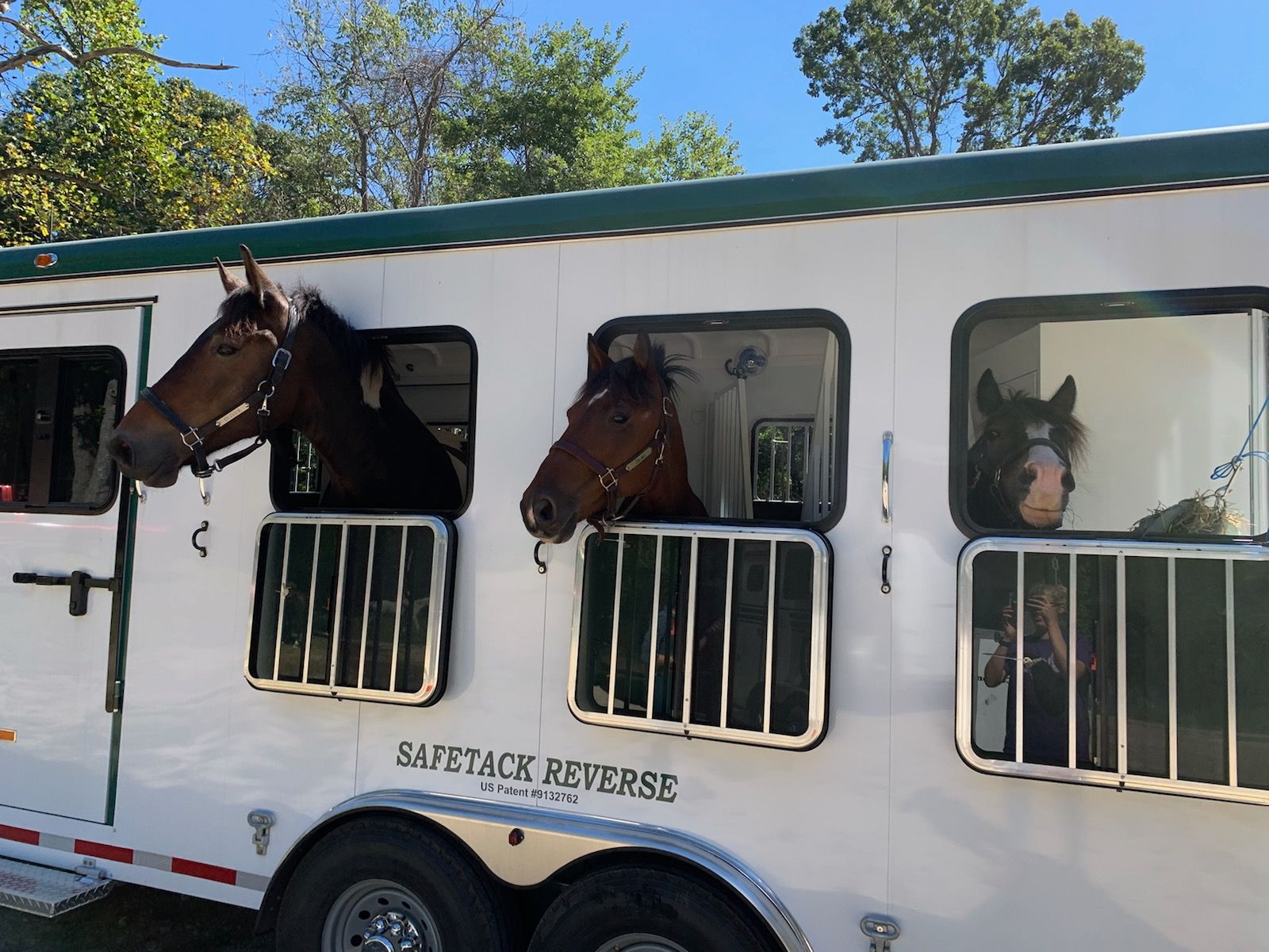 3 Horses Loaded into SafeTack Reverse Horse Trailer