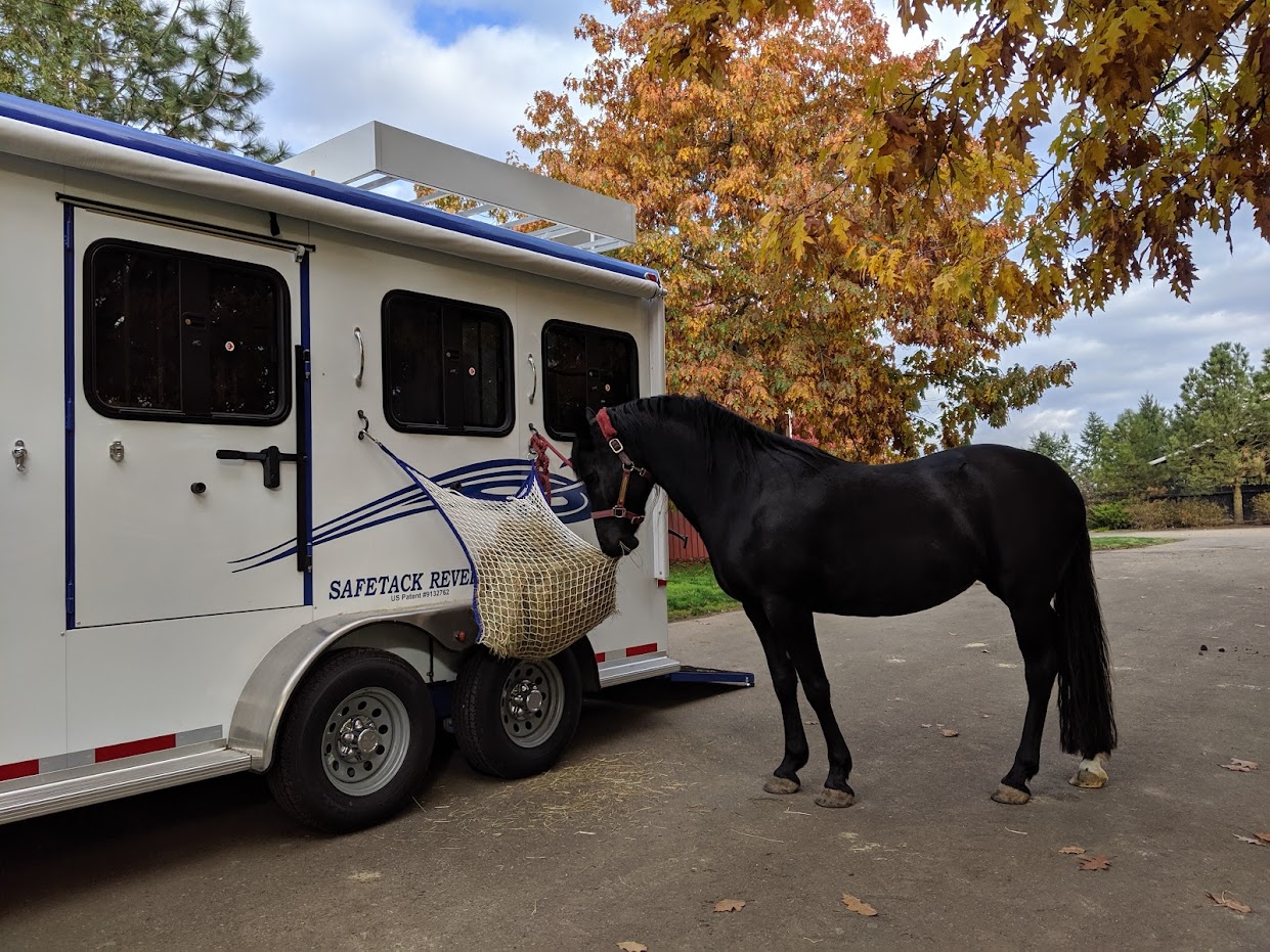 Double D Trailers' 3 Horse Slant Load Bumper Pull Horse Trailer 