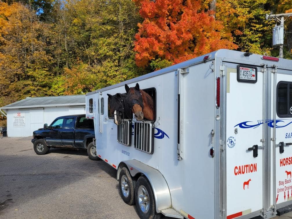 2 horses being hauled in a Double D Trailers' Gooseneck Slant Load model. 