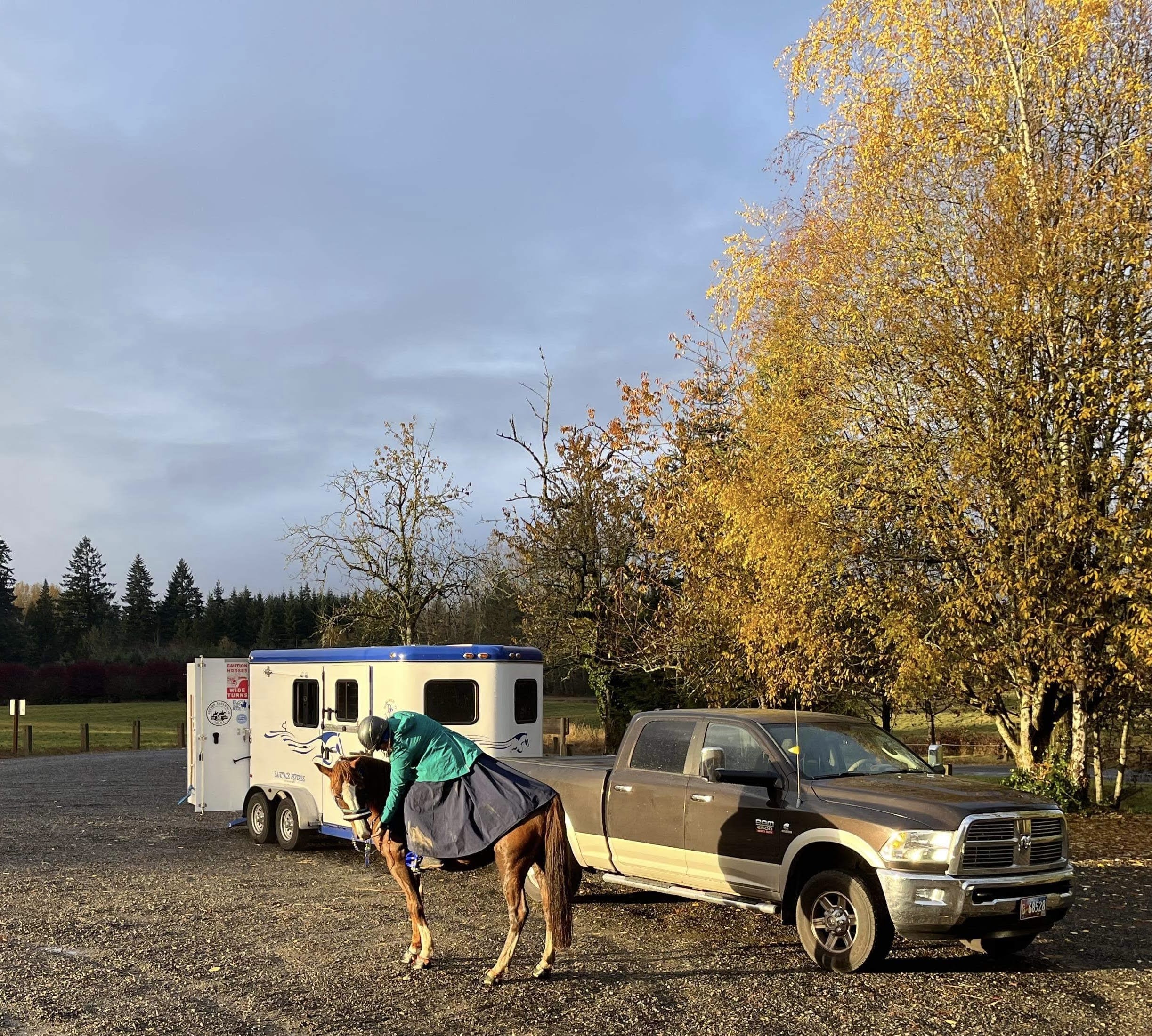 SafeTack Reverse 2 Horse Bumper Pull Horse Trailer hitched to a Dodge truck